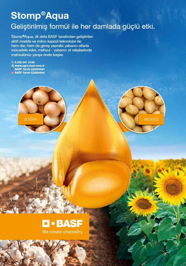 Ideart Basf Stompaqua Basın İlanı