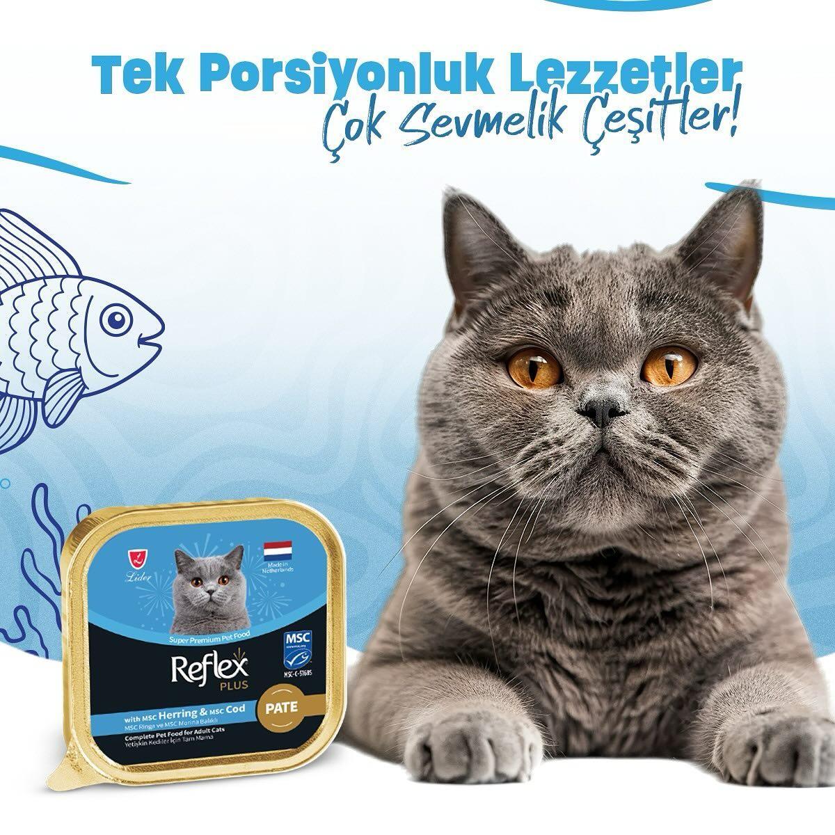 Reflex Mama Sosyal Medya Yönetimi - İdeart Reklam Ajansı İzmir