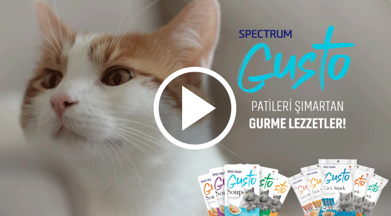 Ideart Reklam Ajansı İzmir - Spectrum Gusto Video Ideart Reklam Ajansı İzmir - Spectrum Gusto Video
