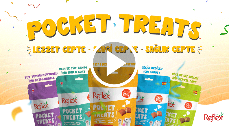 Ideart Reklam Ajansı İzmir - Reflex Pocket Treats Video