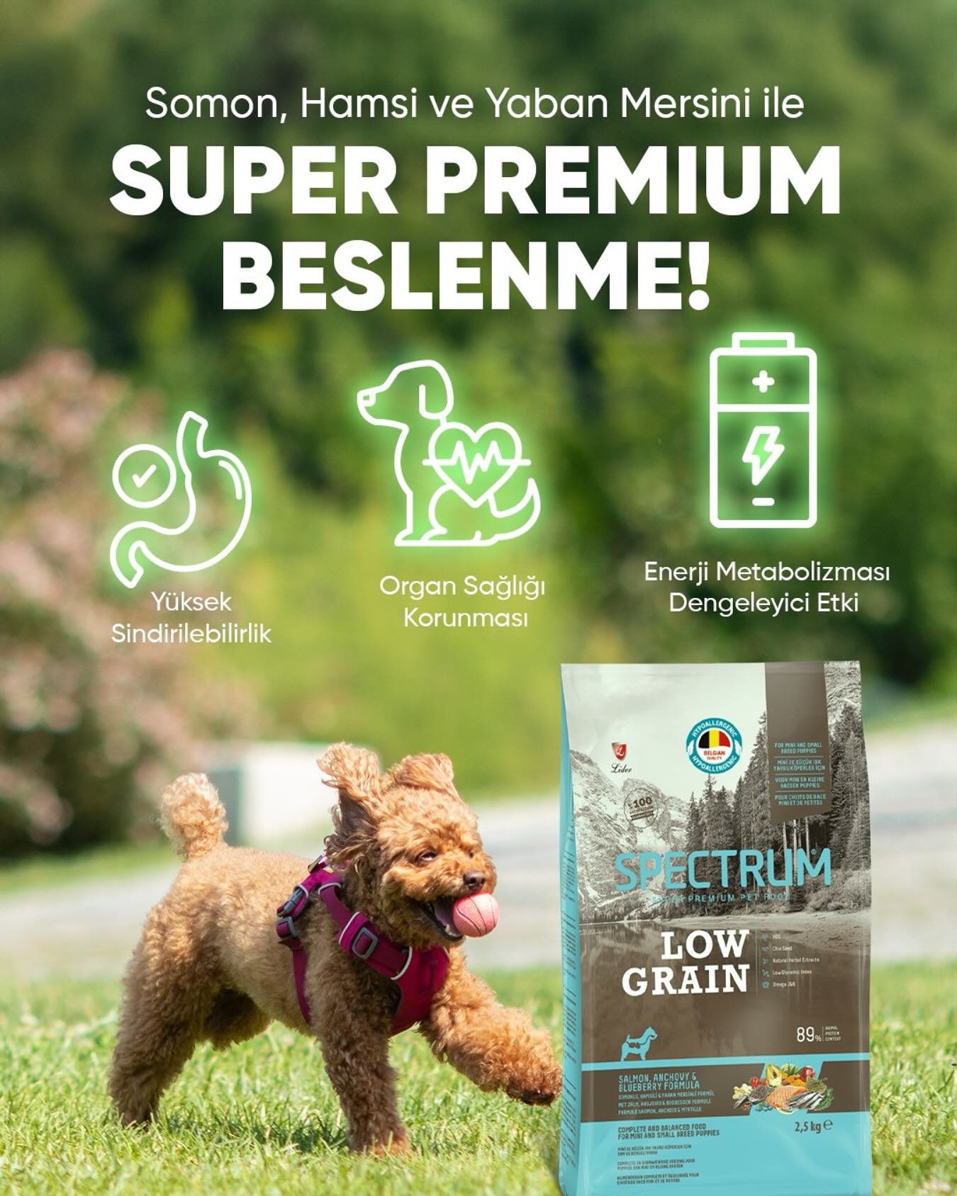 Spectrum Mama Sosyal Medya Yönetimi - İdeart Reklam Ajansı İzmir