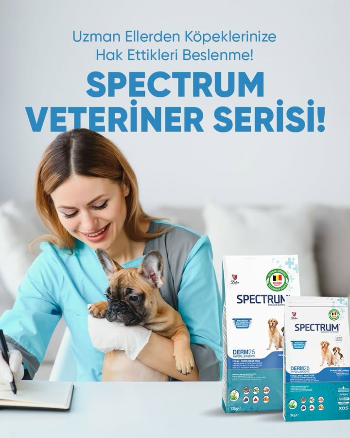 Spectrum Mama Sosyal Medya Yönetimi - İdeart Reklam Ajansı İzmir